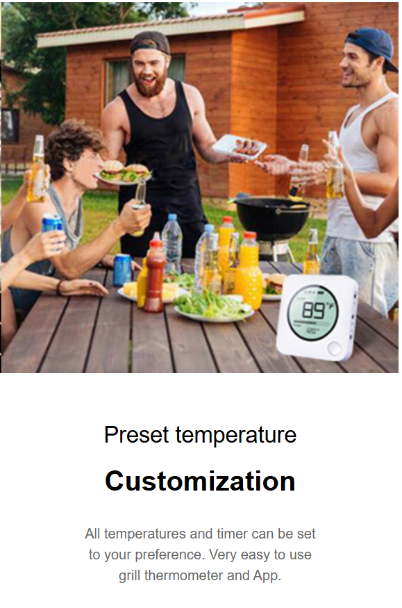 BFK-5 Bluetooth Meat Thermometer