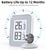BFK-11 E-ink Hygro-thermometer