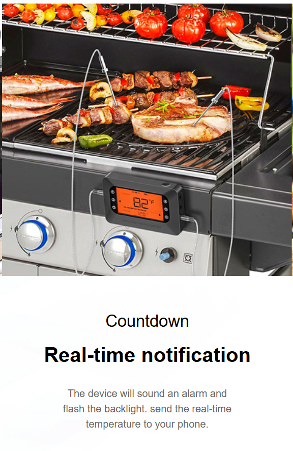 BFK-6 Bluetooth Meat Thermometer