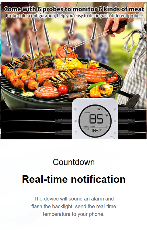 BFK-5 Bluetooth Meat Thermometer