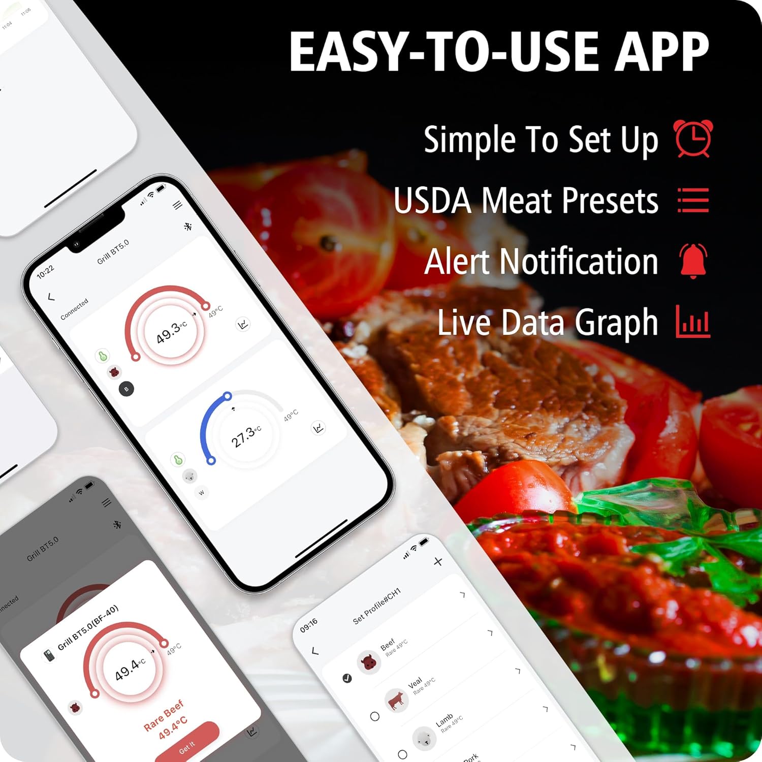 BFK-40 Smart 2-probes Meat Thermometer